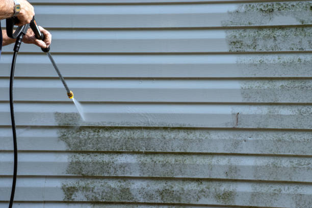 Best Same-Day Junk Removal Services  in Dayton, NV